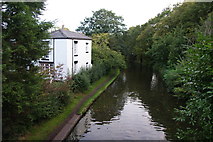 SJ6486 : The Bridgewater Canal at Grappenhall by Bill Boaden