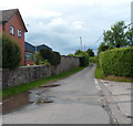 Lane to Dorstone from Hinton