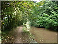 Early autumn on the Mon. & Brec. canal near Llangattock