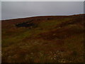 NC5723 : Peat hagg on Meall Meadhonach near Crask Inn, Sutherland by ian shiell