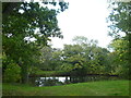 Pond at Bettenham Manor