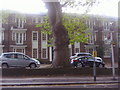 Flats on Stanhope Road, Highgate