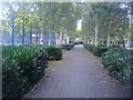 Path through Elthorne Park