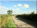 Lane at Bowling Bank