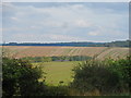 View north from Magdalen Hill Cemetery