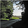 TL5448 : At Hildersham Crossroads by John Sutton