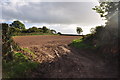 Mid Devon : Ploughed Field