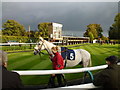 TL2072 : Grey horse and grey sky - Huntingdon racecourse by Richard Humphrey