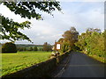 Evening sunlight on Charlton Lane