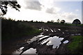 Mid Devon : Muddy Field