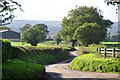 Mid Devon : Country Lane