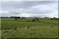 Farmland near Rottenyard