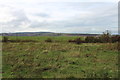 Farmland near Bankglen