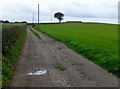 View Up Track To Crank Hill