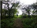 Alma Field Trig Point