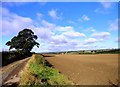 The track to Sprucely Farm