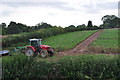 Mid Devon : Grassy Field