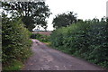 Mid Devon : Country Lane