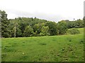 Field, Ardargie