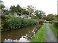 On the Mon. & Brec. canal near Llangattock