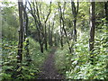 Tiffield: Former Northampton & Banbury Junction Railway trackbed