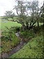 Lyham Dean seen from Cow Ford