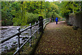 Riverside walk, Dunblane