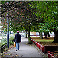 Leafy sidewalk in Willenhall, Walsall