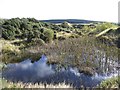 Pond near Glenquicken