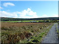 View of farm buildings at Glenquicken