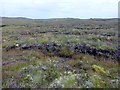 NB3435 : Bleak Moorland View by Rude Health 