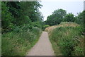 Footpath around Whitlingham Great Broad