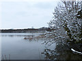 A cold and snowy Groby Pool