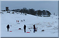 SK5211 : Sledging at Bradgate Park by Mat Fascione