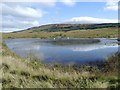 Small loch near Glenquicken