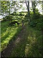 NS4984 : Path beside entrance of Finnich Glen by Lairich Rig