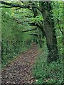 Attractive path running alongside dismantled railway