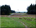 View of track from Pibble to Mark Farm