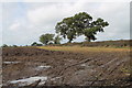 SK1732 : Muddy Field off Aston Lane by J.Hannan-Briggs