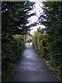 Footpath to Kingfisher Rise