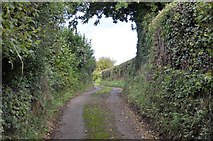 SO5916 : Probertsbarn Lane by Stuart Wilding