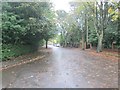 The Drive - looking towards Old Park Road