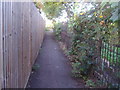 Path from Kew Green to the River Thames