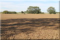 Field with Shadows