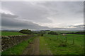 Looking along the bridleway towards Flasby