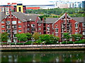 Housing along North Bank of River Lagan