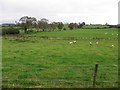 Dunbunrawer Townland