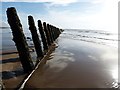 SD2062 : Walney Island Groynes (5) - Northern row in wet sand by Rob Farrow