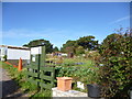 Westham, allotments