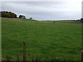 Farmland, Waltonhill